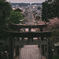 春霞