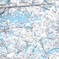 桜空