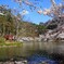 臥竜公園2014