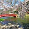 臥竜公園2014-2