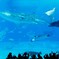 DSCF1400