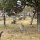 公園に...