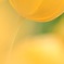 Happy Yellow 