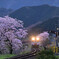 夕暮れの樽見鉄道