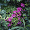 _7R32542_DxO