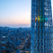 Sunset in TOKYO 〜 2025春宵