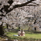 桜の木の下で