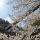草山温泉