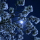 夜桜