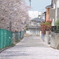 花吹雪