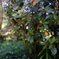 DSCF1766