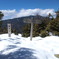 黒金山山頂