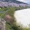 宮城　一目千本桜