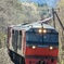 DF200