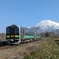 春の羊蹄山