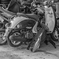 DSC_0030-3