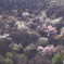 山肌