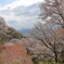 平沢高峯展望台付近からⅡ