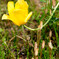 DSCF0733