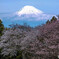 DSCF0549-2