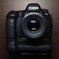 EOS6DⅡと再出発。