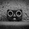Monochrome【フクロウ】