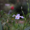 DSCF2159