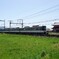 平城京を走る