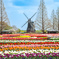 あけぼの山公園