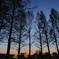 夕焼け