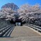 高島城公園2014-2
