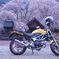 VTR250