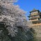 高島城公園2014-3