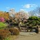高島城公園2014-4