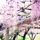 紫色の髪飾り