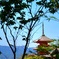 京都っぽい