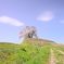 丘の上に咲く一本桜