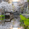 八幡堀 桜 2