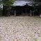 敷き詰める