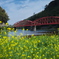 春風が渡る赤い橋
