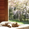 Spring Can Really Hang You Up the Most*