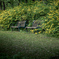 Old benches