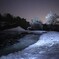雪国の桜