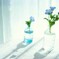 BLUE SOULS ・spring*