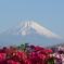 P1380342　4月27日 今朝の富士山