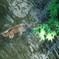 水面の舞