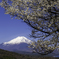 250427_富士山2