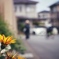 散歩中に