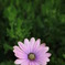 014_IMG_0498