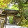 春日に照らされる門